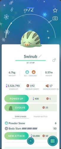Pokemon shiny swinub - pokemon, go