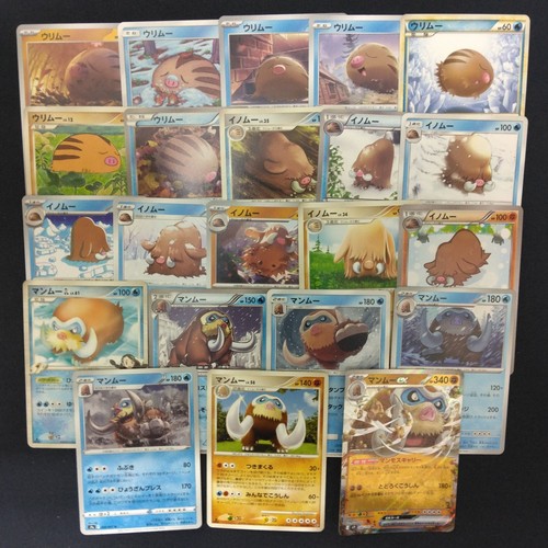 Lotto carte pokemon tcg swinub - lotto,